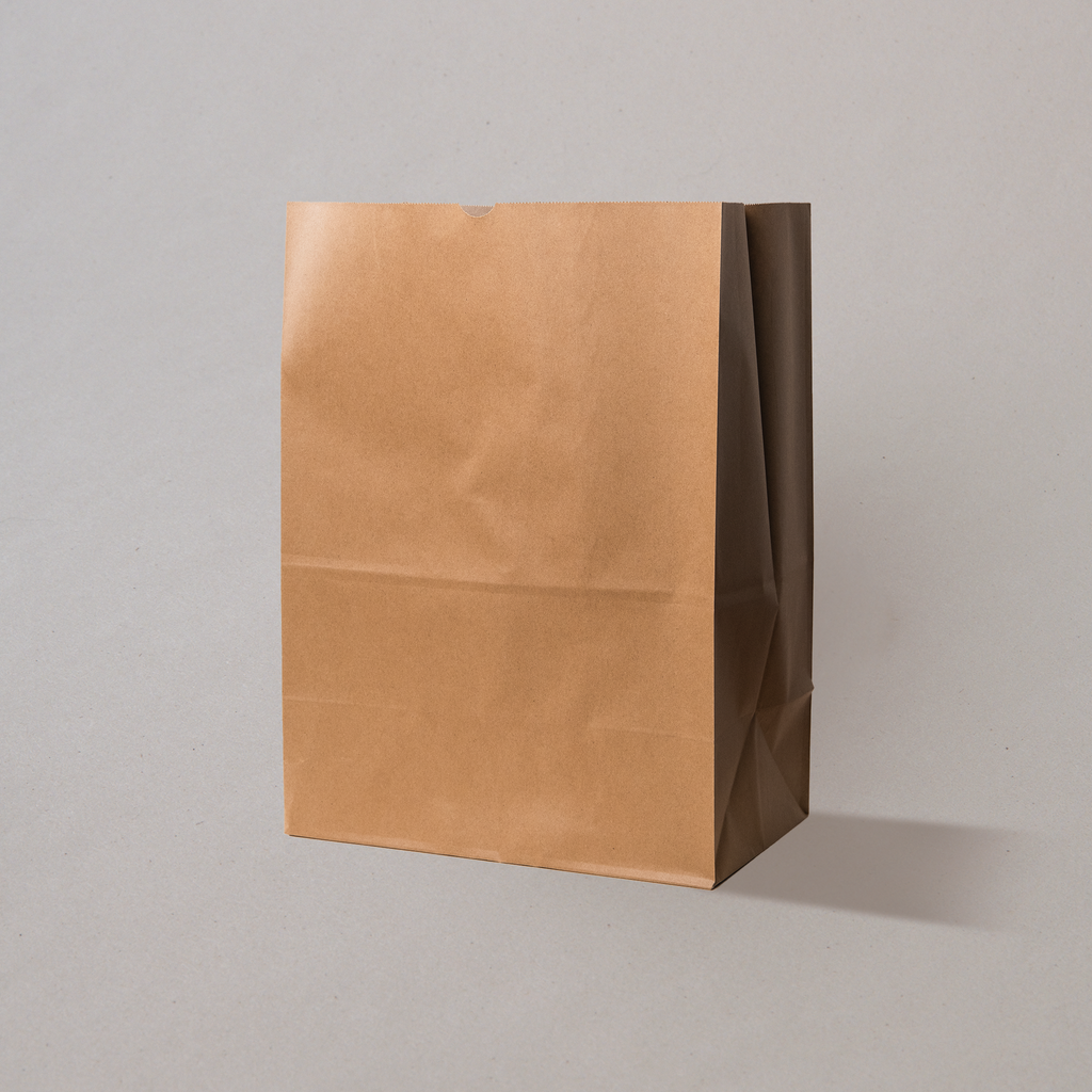 Bolsa de Papel Kraft #45 con 250 Pzs