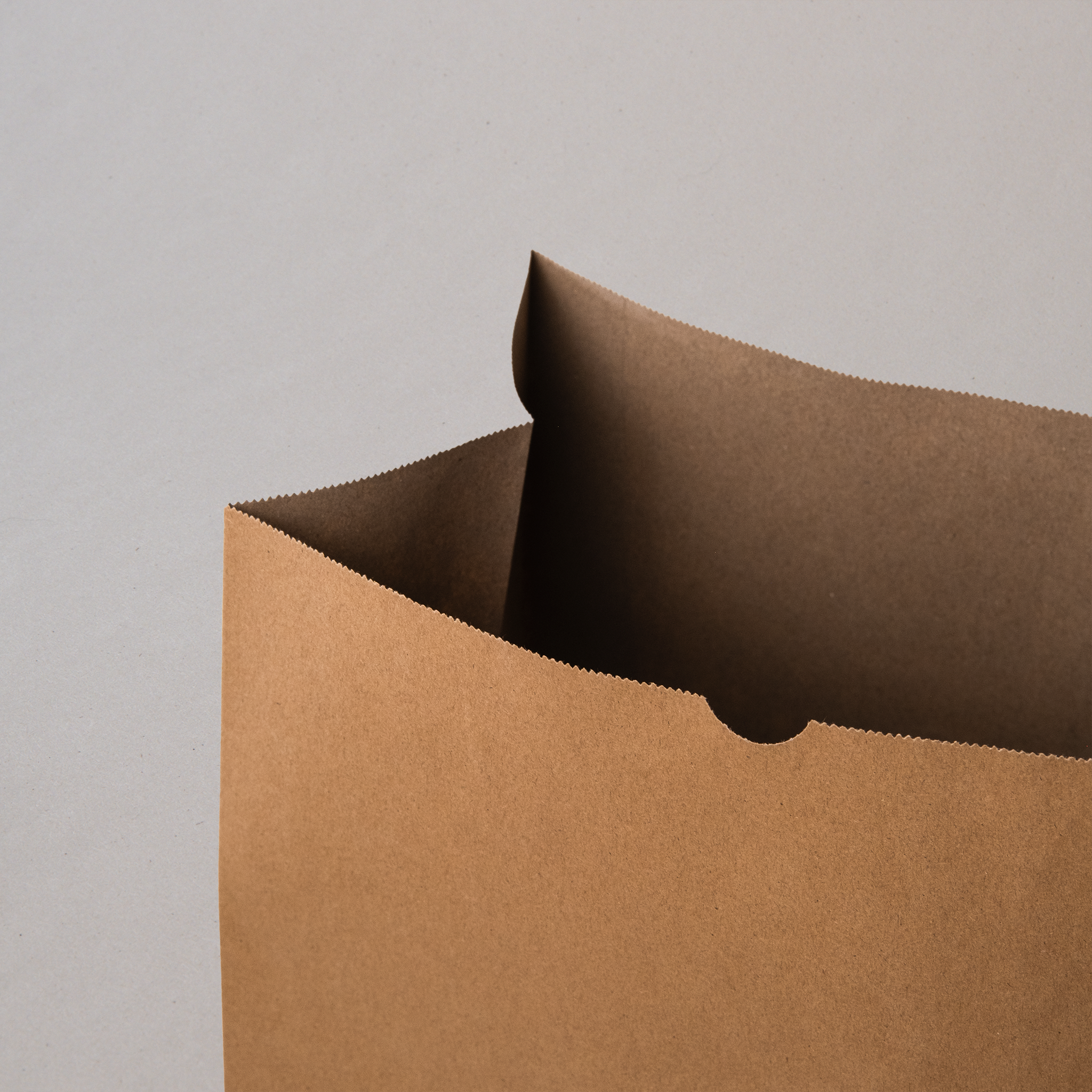 Bolsa de Papel Kraft #45 con 250 Pzs