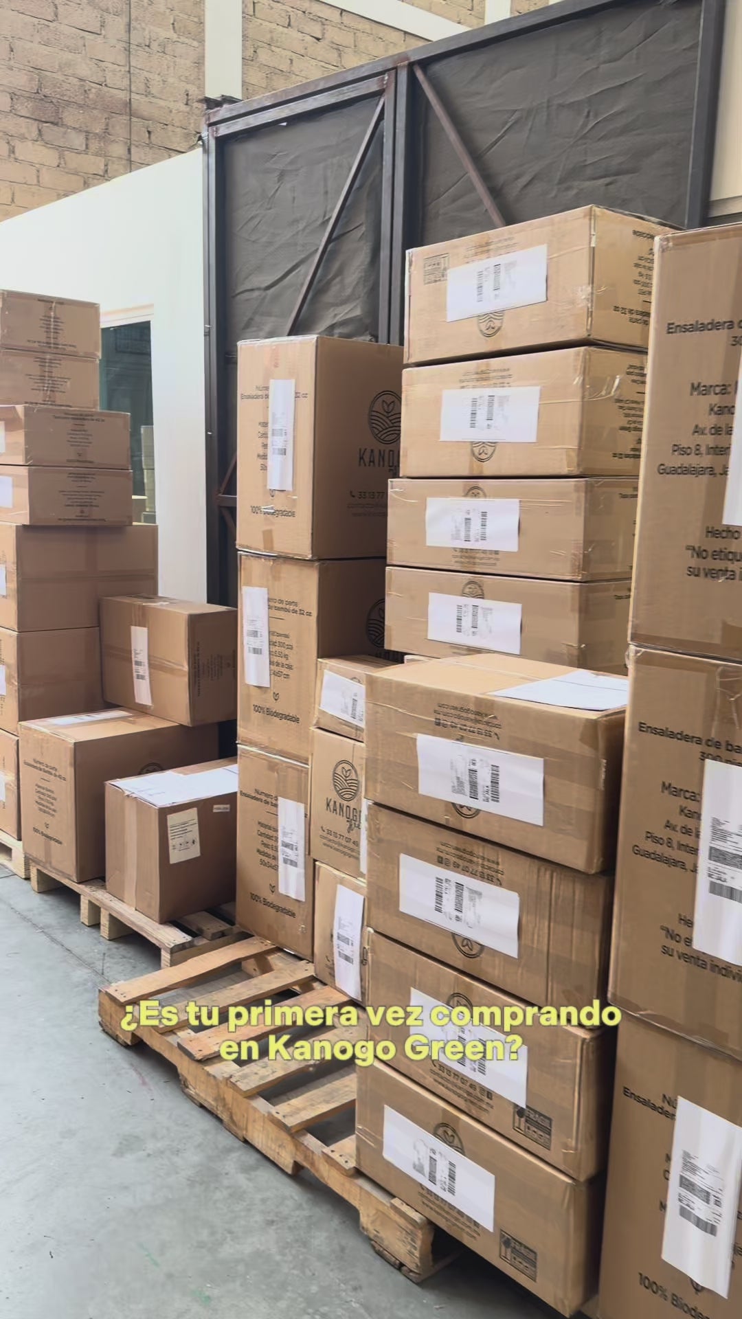 Contenedor Almeja Liso 9x6x3 de Bagazo de Bambú con 250 Pzs